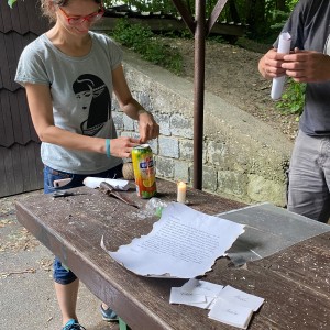 Liščí a kocouří závěrečná
