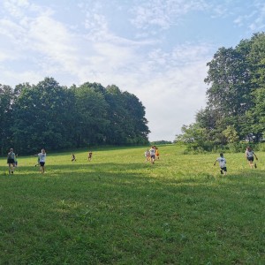 Liščí a kocouří závěrečná