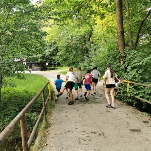 Liščí a kocouří závěrečná