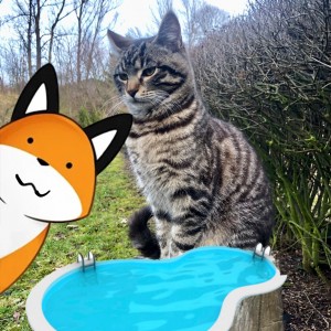 Liščí a Kocouří oddílovka na bazéně