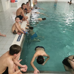 Liščí a Kocouří oddílovka na bazéně