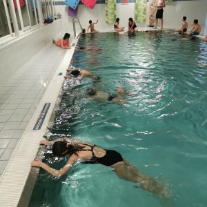 Liščí a Kocouří oddílovka na bazéně