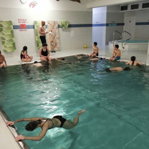 Liščí a Kocouří oddílovka na bazéně