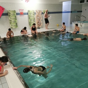 Liščí a Kocouří oddílovka na bazéně