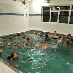 Liščí a Kocouří oddílovka na bazéně