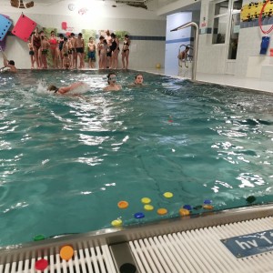 Liščí a Kocouří oddílovka na bazéně