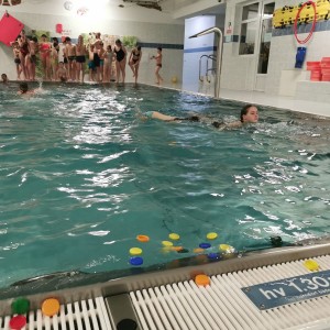 Liščí a Kocouří oddílovka na bazéně