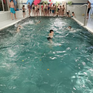 Liščí a Kocouří oddílovka na bazéně