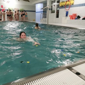 Liščí a Kocouří oddílovka na bazéně