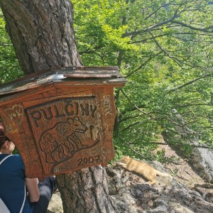 Liščí výprava do Pulčínských skal (16.-18.6.2023)