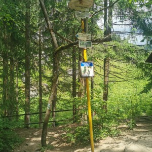 Liščí výprava do Pulčínských skal (16.-18.6.2023)