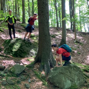 Liščí výprava do Pulčínských skal (16.-18.6.2023)