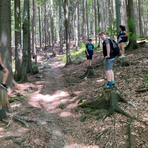 Liščí výprava do Pulčínských skal (16.-18.6.2023)