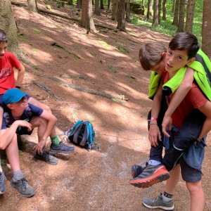 Liščí výprava do Pulčínských skal (16.-18.6.2023)