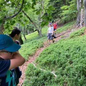 Liščí výprava do Pulčínských skal (16.-18.6.2023)