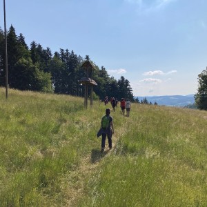 Liščí výprava do Pulčínských skal (16.-18.6.2023)