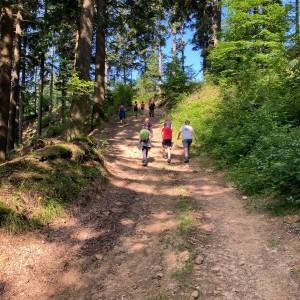 Liščí výprava do Pulčínských skal (16.-18.6.2023)