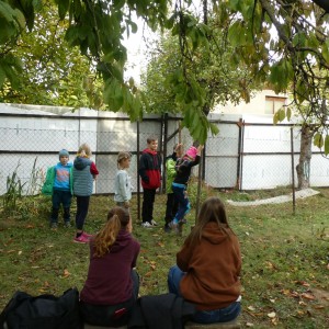 Říjnová oddílovka