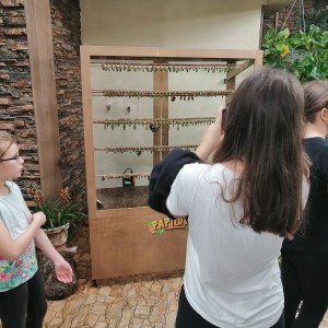 Soví výprava do Papilonie a do okolí Špilberku