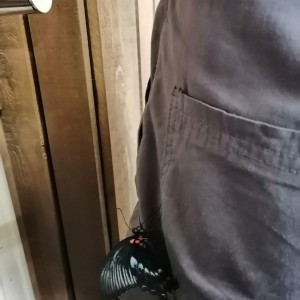 Soví výprava do Papilonie a do okolí Špilberku
