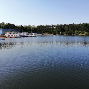 Sovy na hradě Veveří