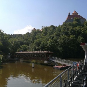 Sovy na hradě Veveří