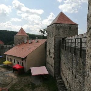 Sovy na hradě Veveří