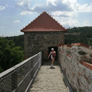 Sovy na hradě Veveří