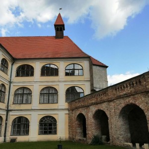 Sovy na hradě Veveří