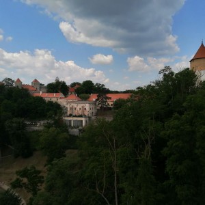 Sovy na hradě Veveří