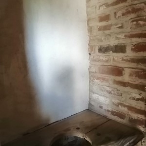 Sovy na hradě Veveří