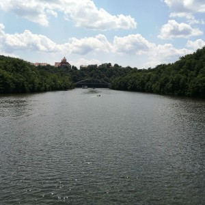 Sovy na hradě Veveří