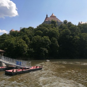 Sovy na hradě Veveří