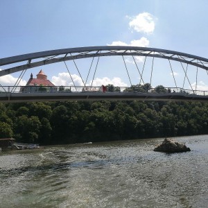 Sovy na hradě Veveří