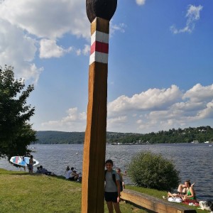Sovy na hradě Veveří