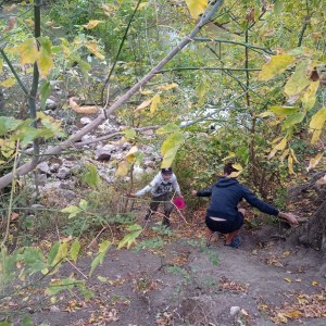 Sršní discgolf (8.10.2023)