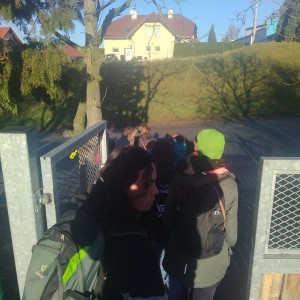 Tradiční Sršní laser game