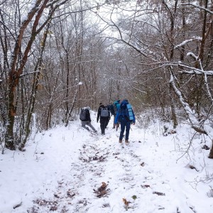 Sršní výprava na lezeckou stěnu do Kuřimi