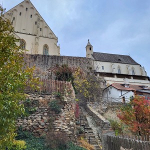 Sršní výprava do Znojma (18.11.2023)