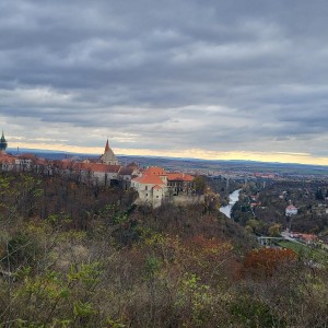 Sršní výprava do Znojma (18.11.2023)