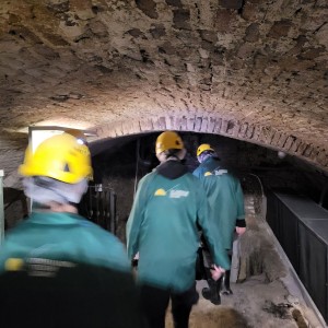 Sršní výprava do Znojma (18.11.2023)