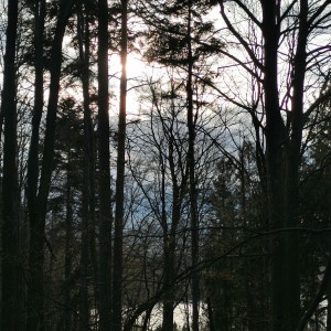 Úklid Hukvald a Vítání jara za zvuku rally