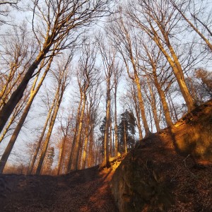 Úklid Hukvald a Vítání jara za zvuku rally