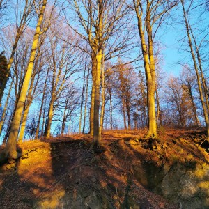 Úklid Hukvald a Vítání jara za zvuku rally