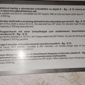 Vlčí dobrovolnická akce na Hůrce