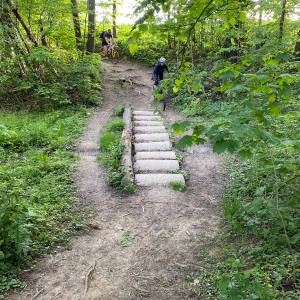 Dubnová oddílovka Lišek a Kocourů