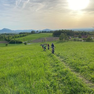 Dubnová oddílovka Lišek a Kocourů