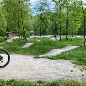 Dubnová oddílovka Lišek a Kocourů