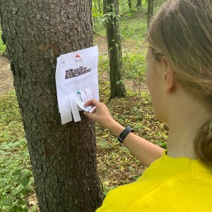 Květnová oddílovka Lišek a Kocourů