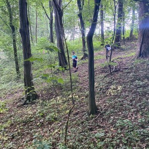 Květnová oddílovka Lišek a Kocourů